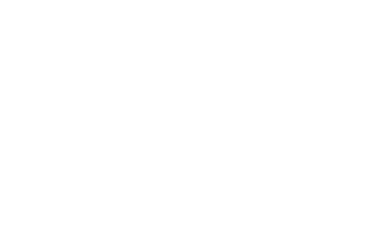 Fyntex